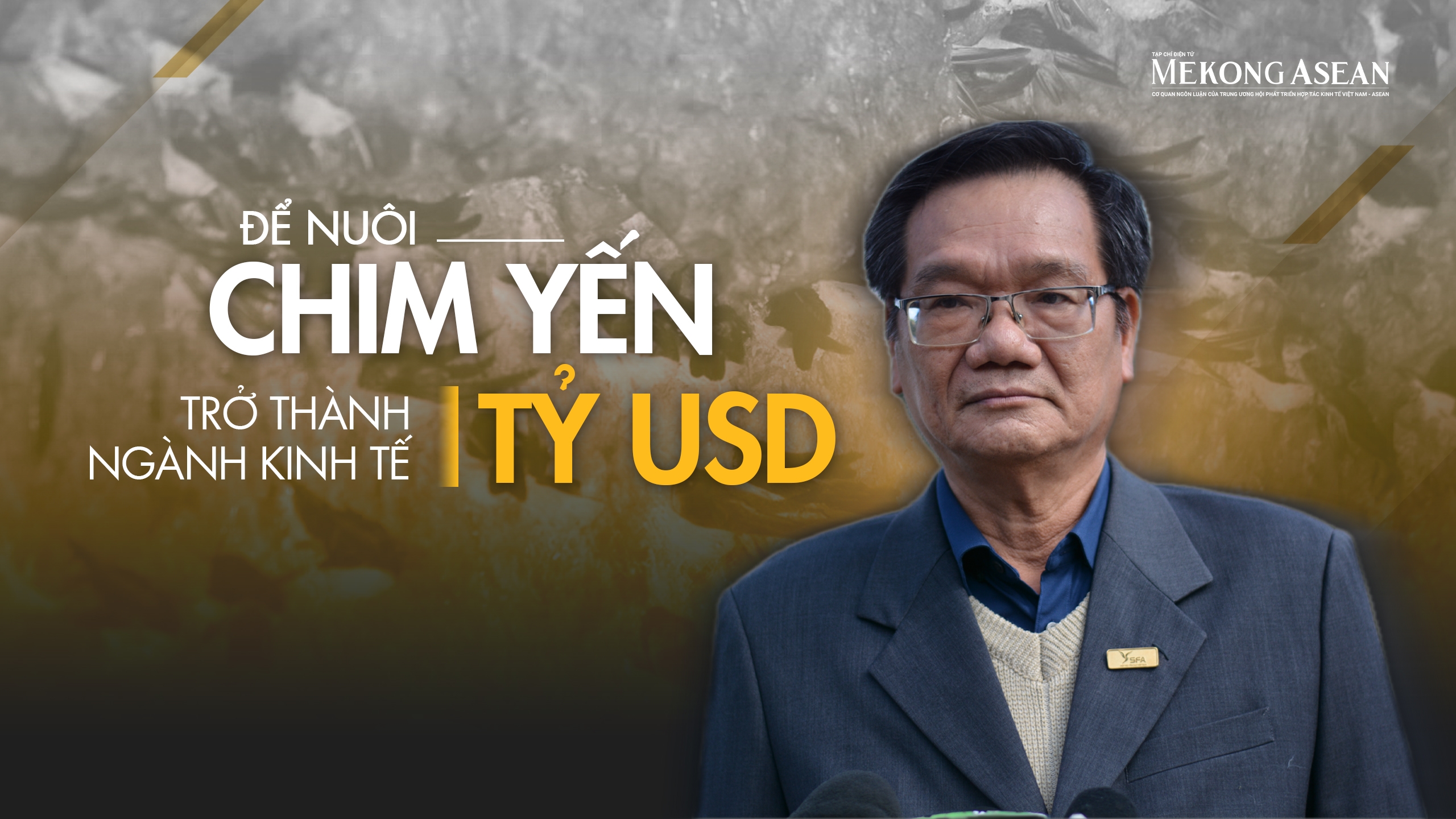 Để nuôi chim yến trở thành ngành 555Win login đăng nhập tỷ USD