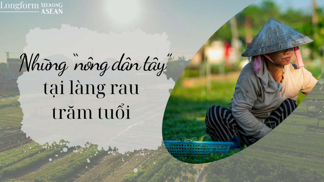 Những 'nông dân tây' tại làng rau trăm tuổi