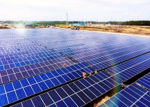 Bamboo Capital: Một lãnh đạo của BCG Energy bị khởi tố