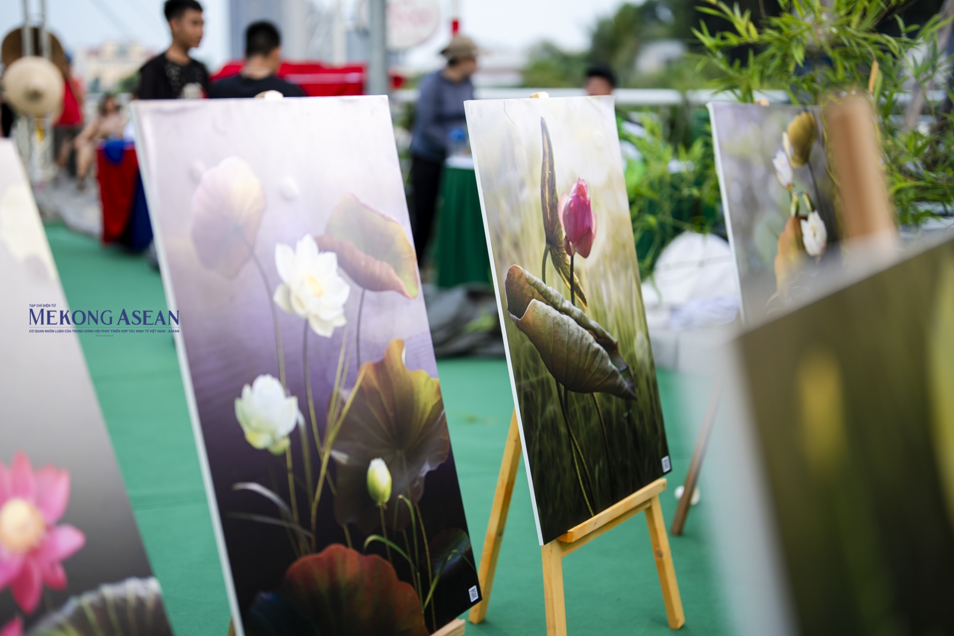 Ngắm nhìn những tác phẩm độc đáo tại 555win là Công ty cờ bạc trực tuyến tốt nhất sen Hà Nội