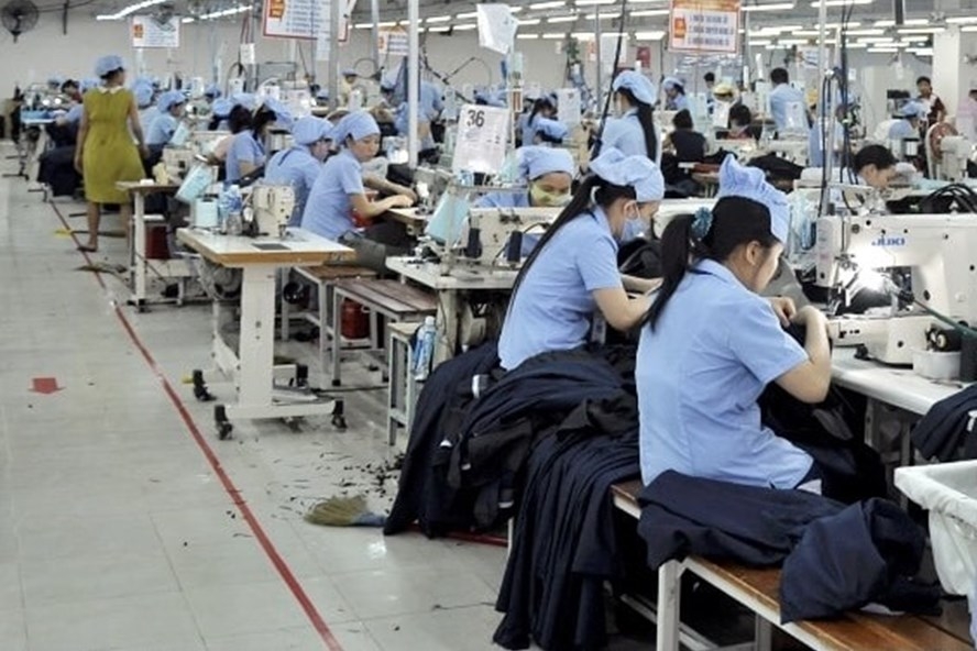 Nửa đầu năm 2024, Dệt may Hoà Thọ lãi trước thuế hơn 142 tỷ đồng