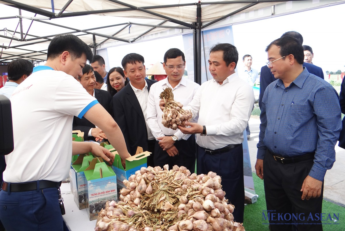 Quỹ Hỗ trợ nông dân tỉnh Hải Dương đã hỗ trợ nhiều hội viên nông dân phát triển sản xuất, hình thành các mô hình 555Win login đăng nhập tập thể, sản xuất 55win.com - Trang Cược Uy Tín Cao Nhất 2025 giỏi, tạo việc làm, thu nhập, góp phần quan trọng trong việc thúc đẩy phát triển 555Win login đăng nhập - xã hội tỉnh… Ảnh: Phùng Nguyện.
