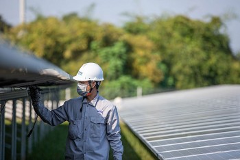 VDSC gọi tên hai Trang Nhà Cái 555win.com - Đăng Nhập +555k hưởng lợi từ cơ chế mua bán điện trực tiếp