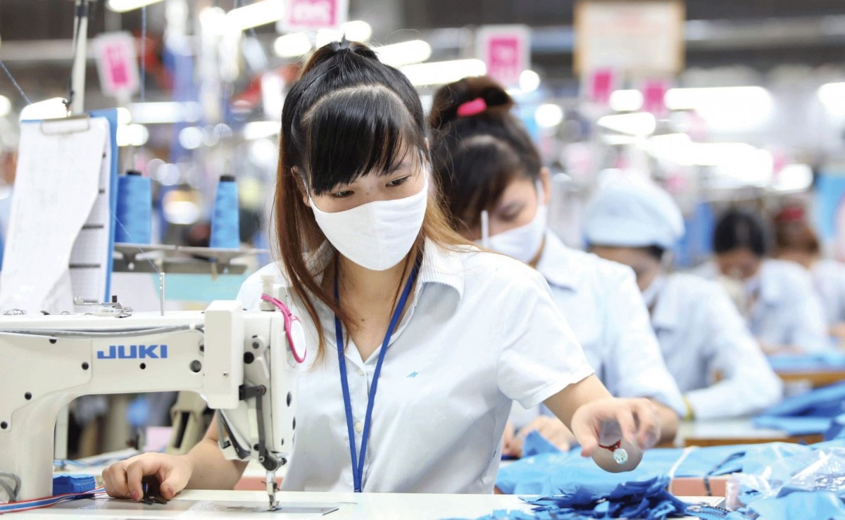 TNG cán mốc 50% kế hoạch doanh thu, đơn hàng kín lịch đến cuối năm