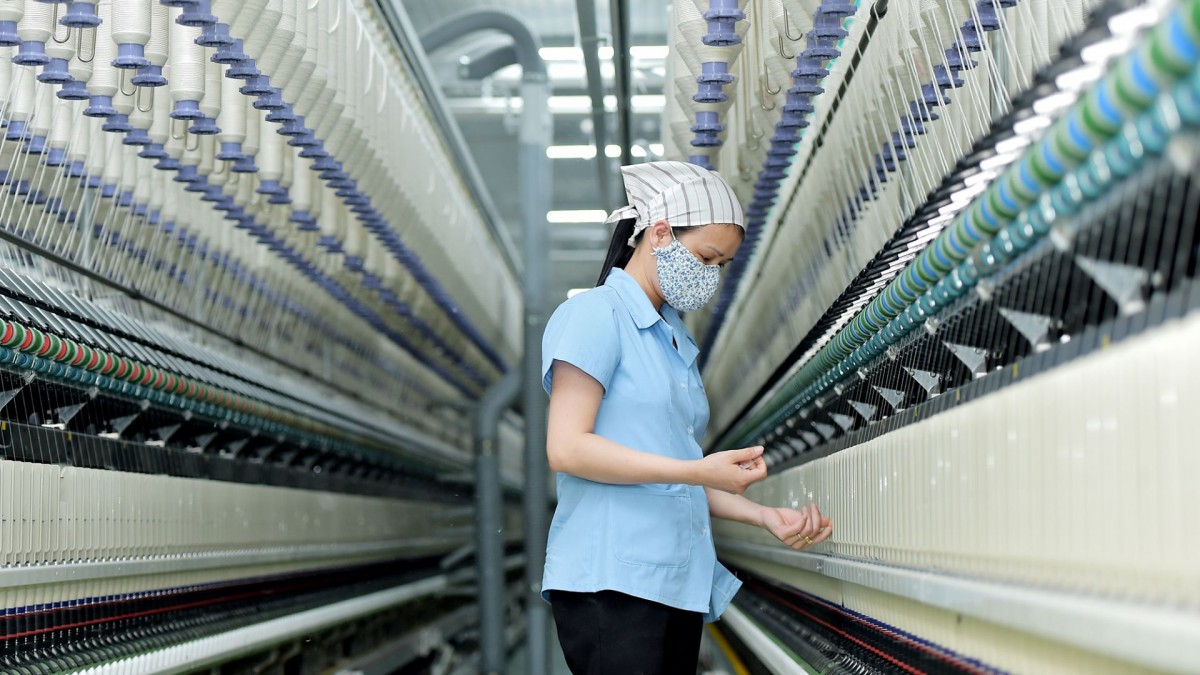 Thêm 555win 500 nhà cái cá cược dệt may chia cổ tức tiền mặt trong tháng 8