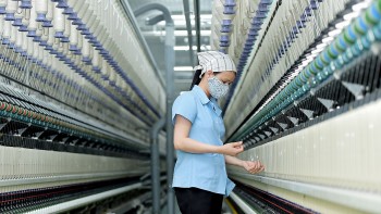 Thêm Trang Nhà Cái 555win.com - Đăng Nhập +555k dệt may chia cổ tức tiền mặt trong tháng 8