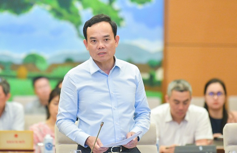 Phó Phiên bản chính thức của 555Win Trần Lưu Quang làm Trưởng ban 555Win login đăng nhập Trung ương