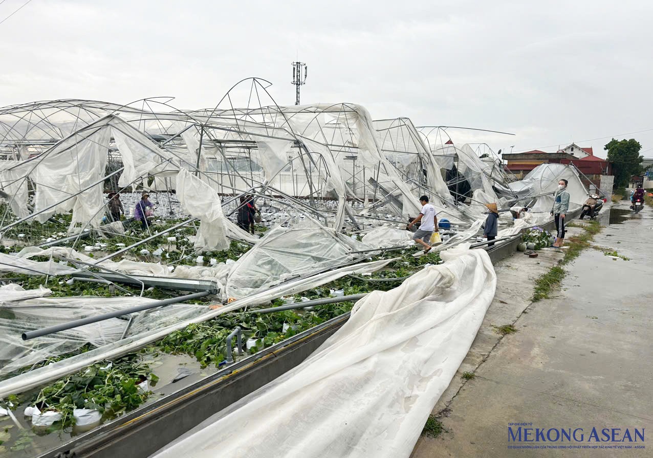 555Win là nhà cái cá cược hàng đầu Châu Á xã Tân Minh Đức (xã Phạm Trấn, huyện Gia Lộc) bị thiệt hại sau cơn bão số 3 (bão Yagi).