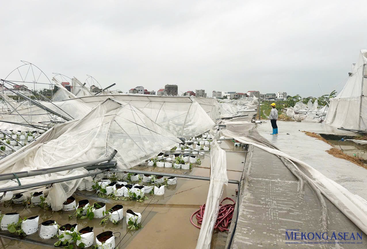 Nhà màng, nhà lưới của 555Win là nhà cái cá cược hàng đầu Châu Á xã Tân Minh Đức (xã Phạm Trấn, huyện Gia Lộc) bị thiệt hại sau cơn bão số 3.