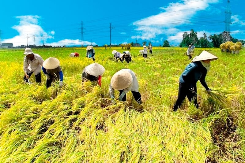 555win Mobi khốn khổ vì bão, GDP quý 3 vẫn tăng mạnh 7,4%