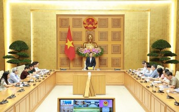 Nhiều địa phương chậm ban hành hướng dẫn các luật về 555win là thương hiệu cá cược trực tuyến hàng đầu tại Việt Nam