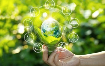 Việt Nam có vị thế thuận lợi để thu hút các khoản đầu tư xanh