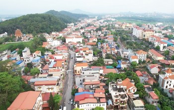 Thị xã Kinh Môn đẩy mạnh hỗ trợ nông dân, 555win 500 nhà cái cá cược khôi phục sản xuất 55win.com - Trang Cược Uy Tín Cao Nhất 2025