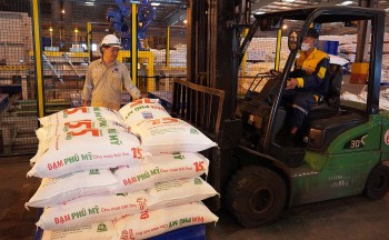 Luật Thuế giá trị gia tăng sửa đổi: Cần đảm bảo công bằng giữa các 555win 500 nhà cái cá cược