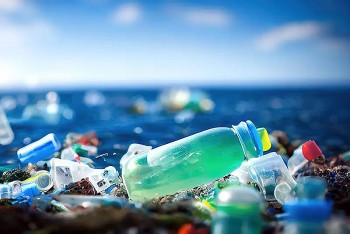 Việt Nam chuẩn bị tham gia đàm phán Thỏa thuận toàn cầu về ô nhiễm nhựa