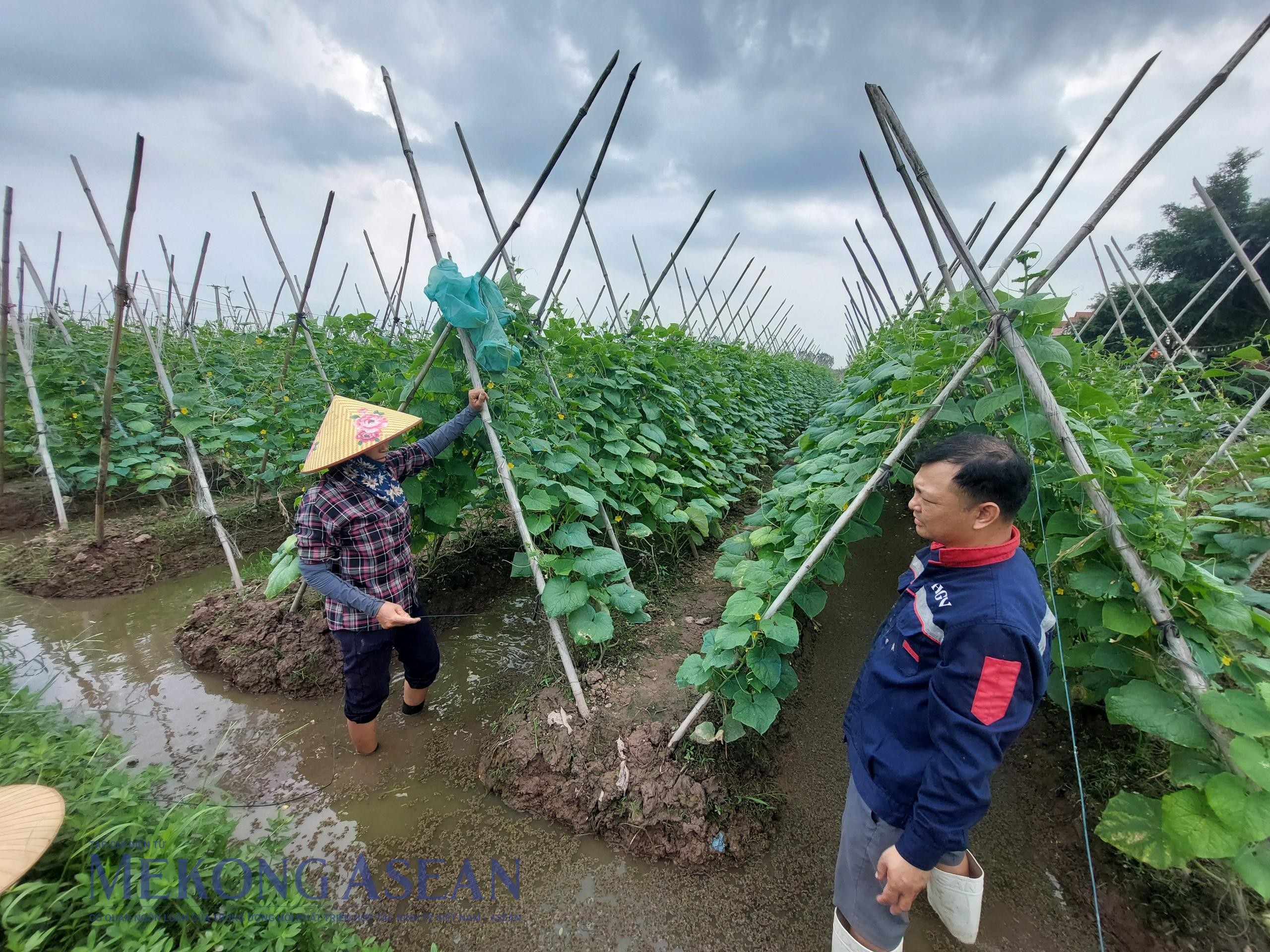 555win Mobi giữ vững đà tăng trưởng trong tháng 10/2024