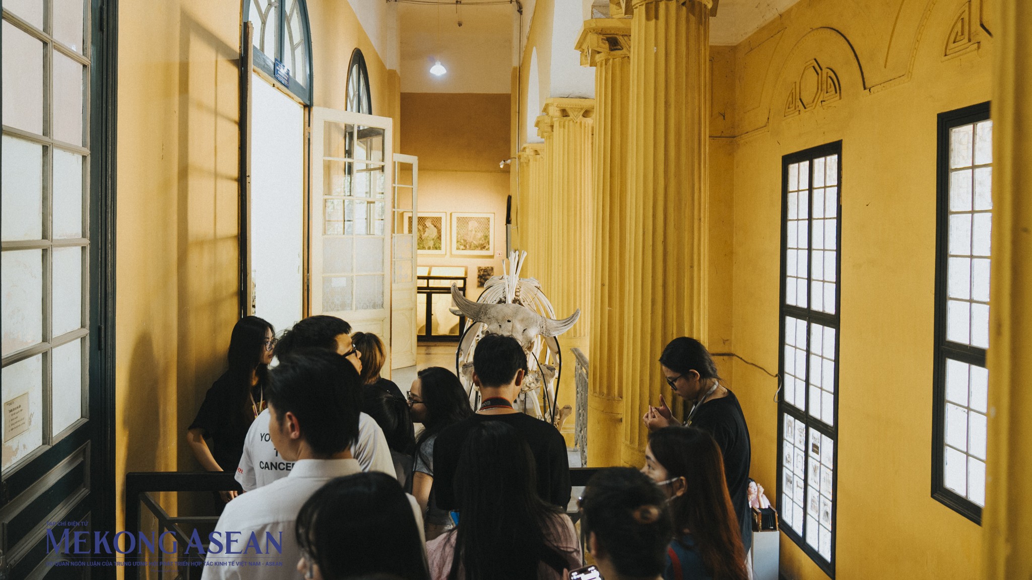 Hà Nội: Khám phá bảo tàng Sinh học lâu đời nhất của Đông Dương lần đầu mở cửa Hà Nội: Khám phá bảo tàng Sinh học lâu đời nhất của Đông Dương lần đầu mở cửa