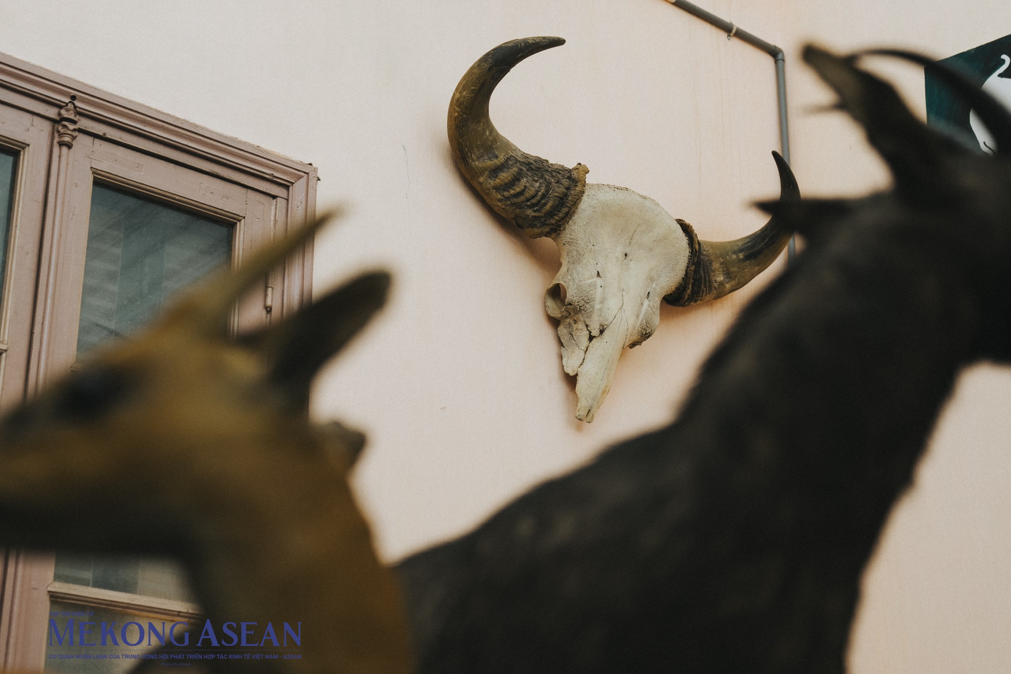 Hà Nội: Khám phá bảo tàng Sinh học lâu đời nhất của Đông Dương lần đầu mở cửa Hà Nội: Khám phá bảo tàng Sinh học lâu đời nhất của Đông Dương lần đầu mở cửa