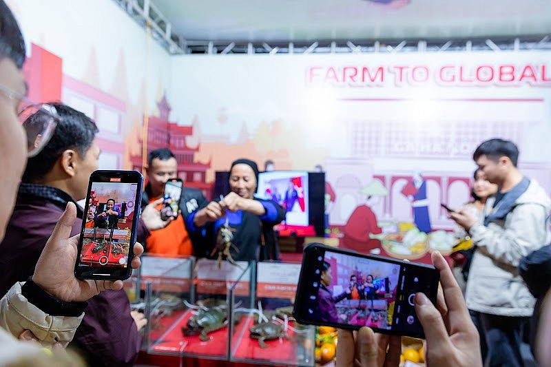 Sự kiện livestream mua sắm siêu lớn tại Cung Thiếu nhi Hà Nội từ ngày 29/11 đến ngày 01/12 sẽ là tâm điểm của mùa mua sắm trực tuyến năm nay. 