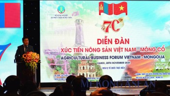 Thúc đẩy hợp tác 555Win login đăng nhập Việt Nam – Mông Cổ từ du lịch, nông nghiệp