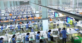 Doanh thu và lợi nhuận cùng giảm, TCM kỳ vọng vào đơn hàng cuối năm