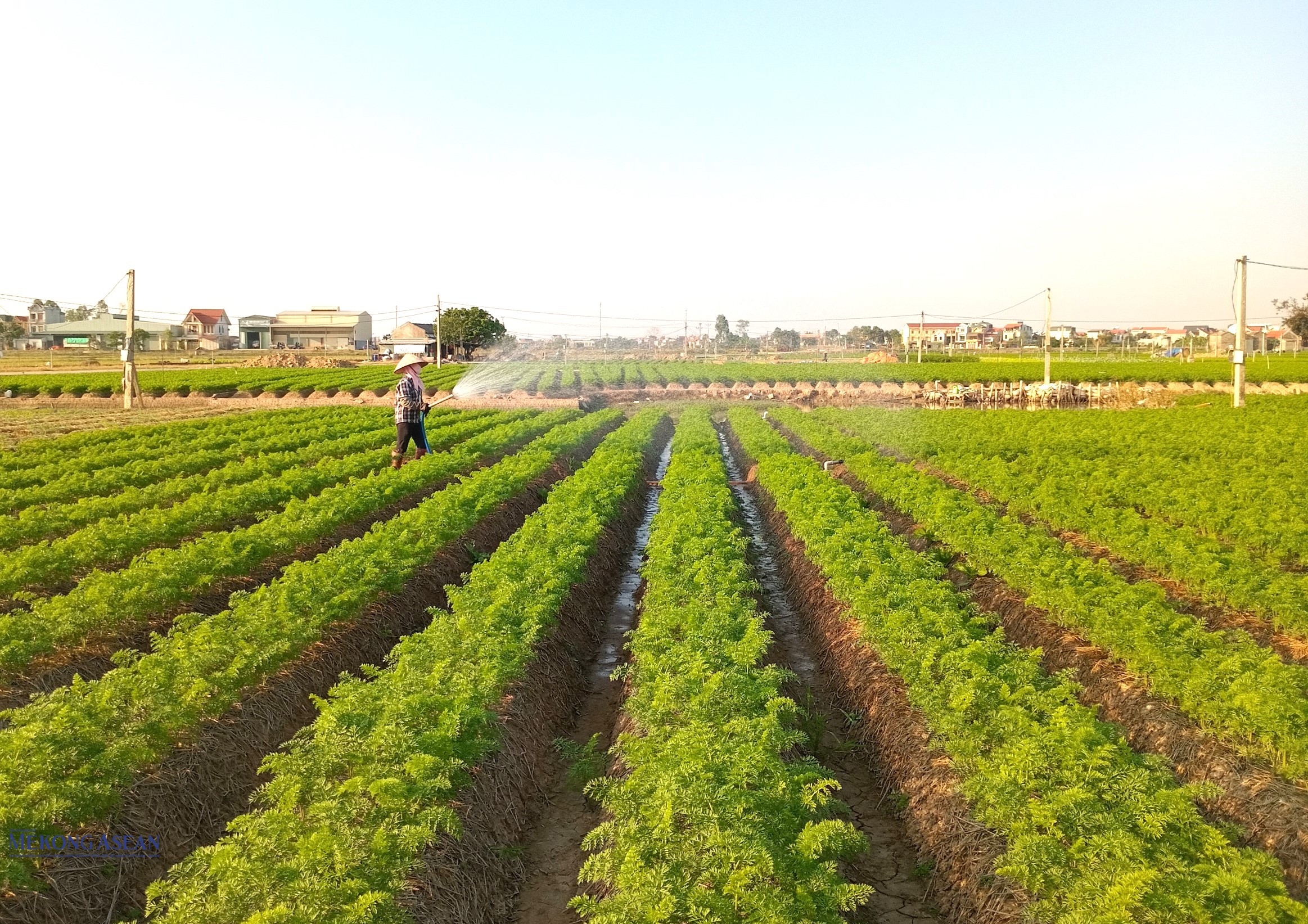 Năm 2024, GRDP của Hải Dương ước tăng 10,02%. Ảnh minh họa/Lâm Phùng.