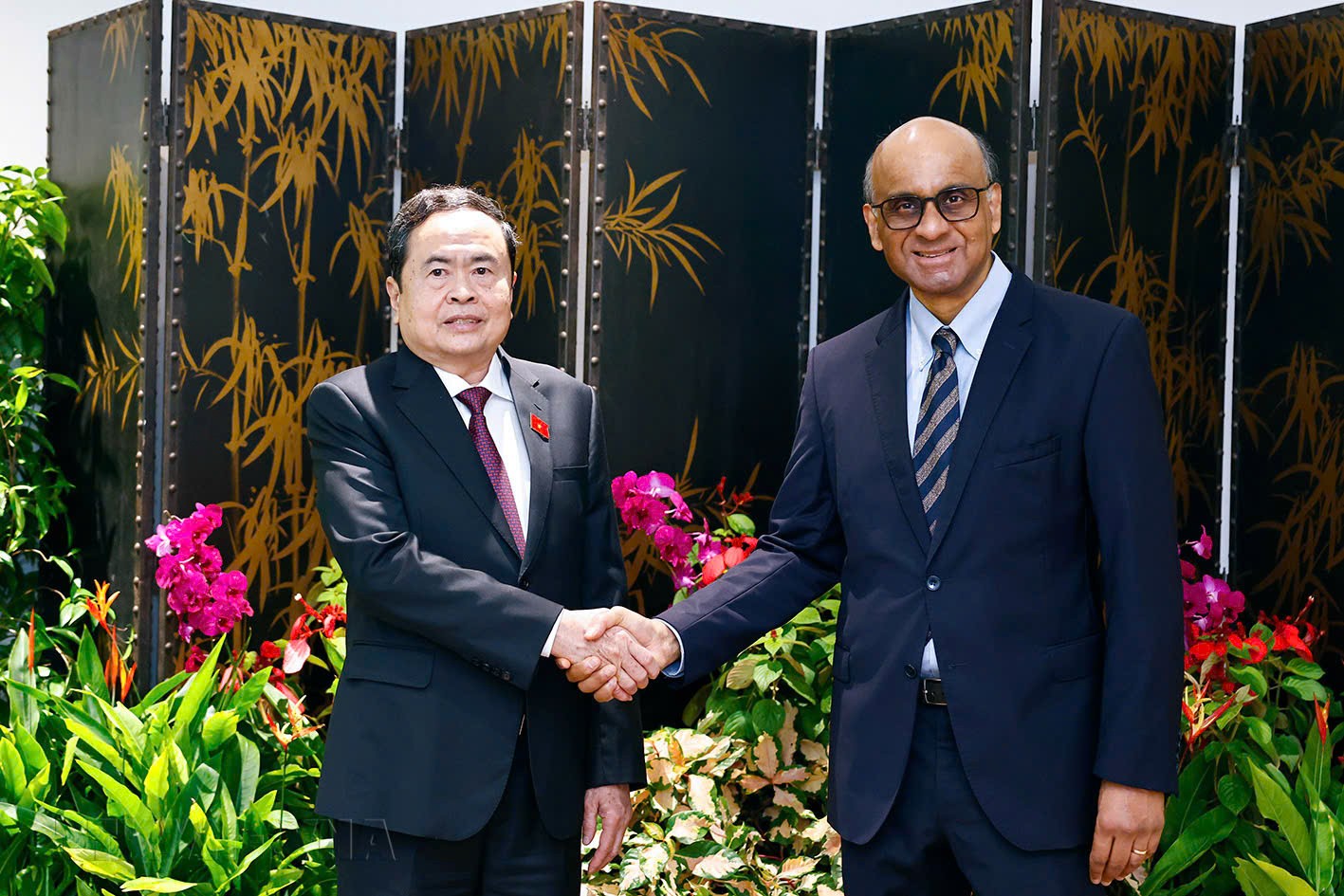 Chủ tịch 555win tải app Trần Thanh Mẫn hội kiến Tổng thống Singapore Tharman Shanmugaranam. Ảnh: Doãn Tấn – TTXVN