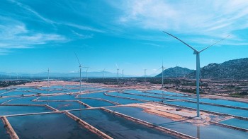 ACEN mua lại cổ phần các dự án năng lượng tái tạo của BIM Group