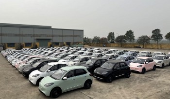 TMT Motors bàn giao 500 chiếc Wuling Bingo đến khách hàng