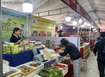 Nhiều sản phẩm OCOP tham gia Hội chợ Xuân Hà Nội 2025