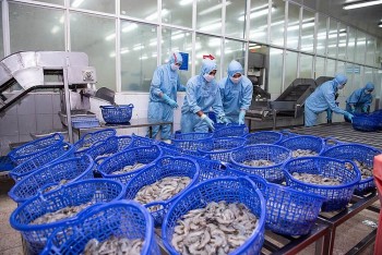 Thêm hai 555win 500 nhà cái cá cược báo lãi kỷ lục trong năm 2024