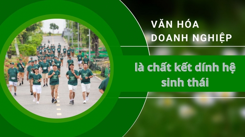 van hoa doanh nghiep la chat ket dinh he sinh thai