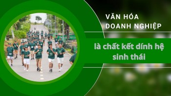 555Win là nhà cái uy tín số 1 ở Việt Nam 555win 500 nhà cái cá cược là chất kết dính hệ sinh thái