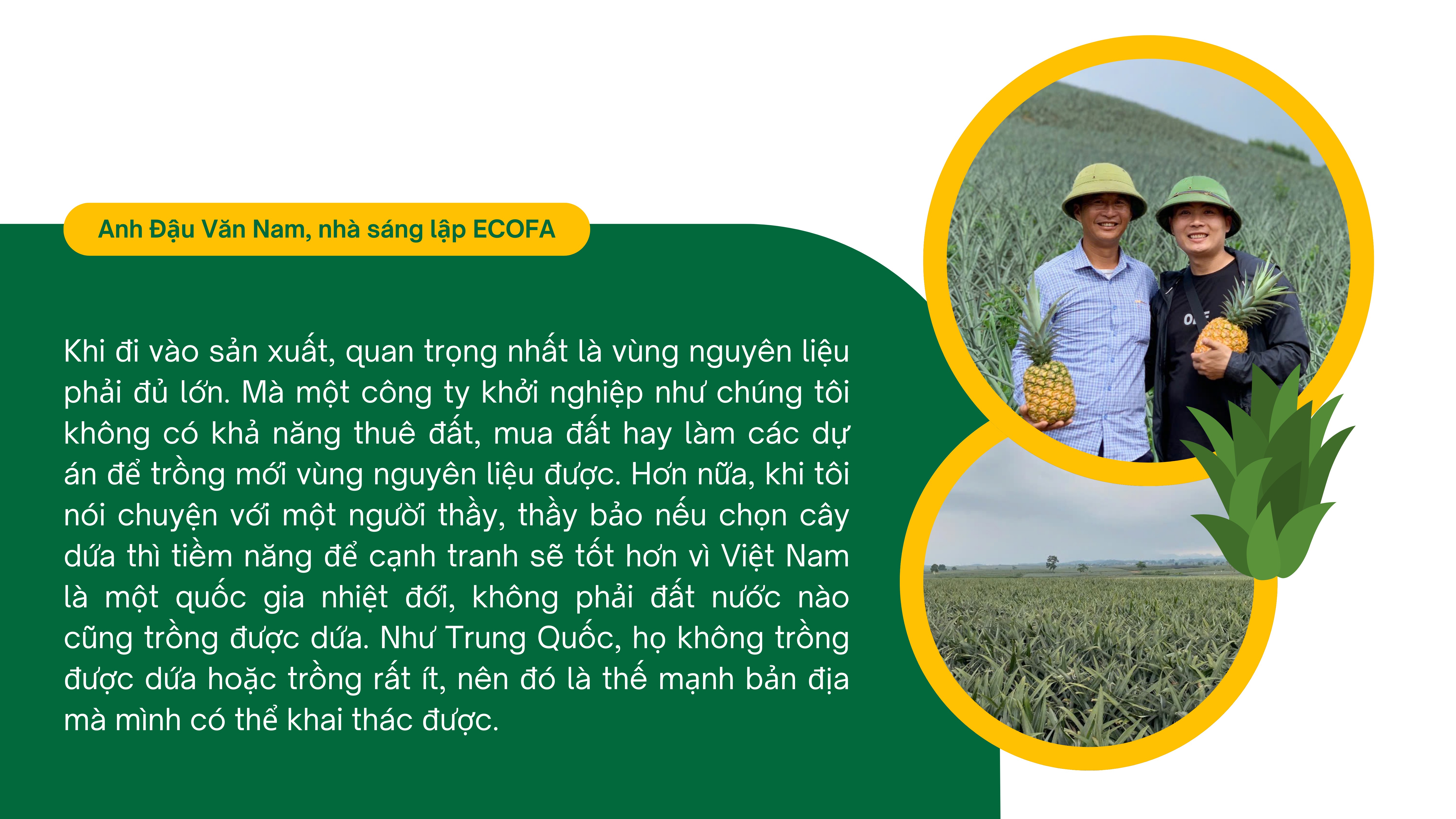 Hành trình ‘hái ra tiền’ từ phế phẩm lá dứa
