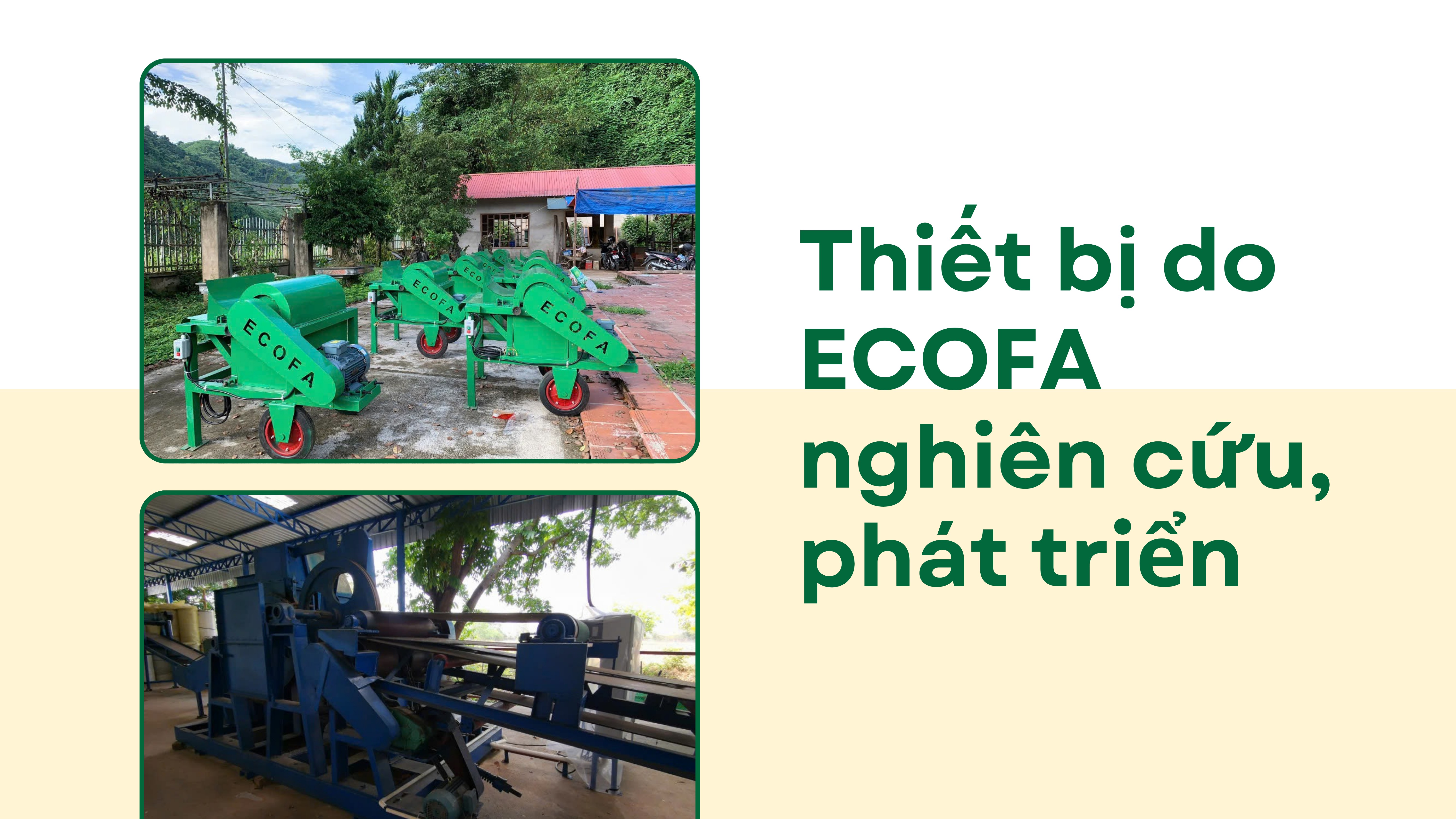 Hành trình ‘hái ra tiền’ từ phế phẩm lá dứa