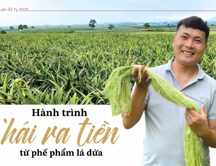 Hành trình ‘hái ra tiền’ từ phế phẩm lá dứa