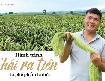 Hành trình ‘hái ra tiền’ từ phế phẩm lá dứa