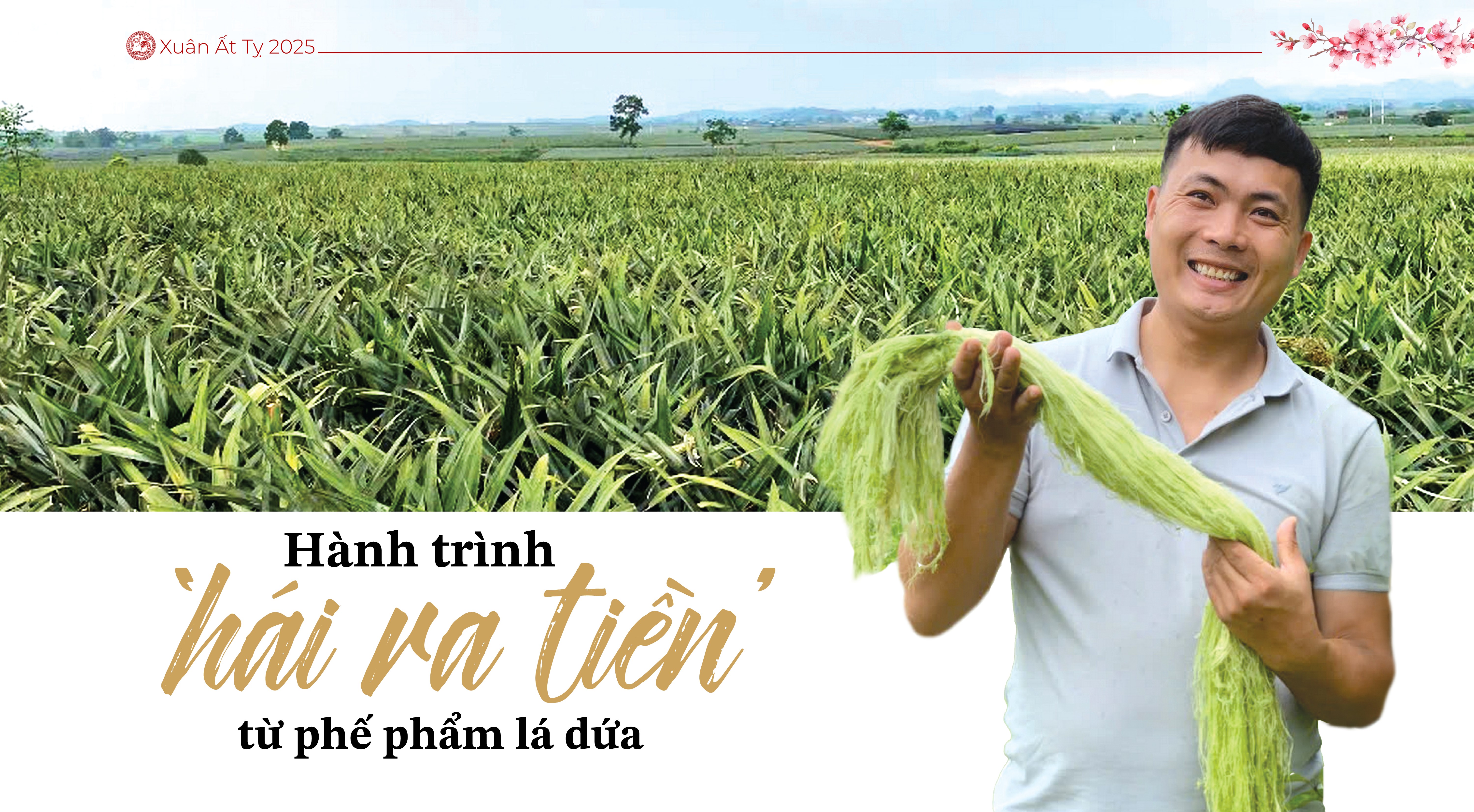 (Bài Tết) Hành trình ‘hái ra tiền’ từ phế phẩm lá dứa
