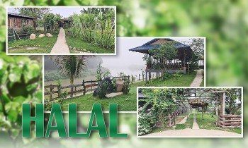 Halal và câu chuyện về 
