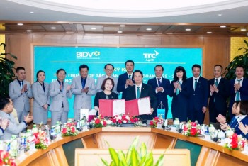 TTC AgriS cung cấp giải pháp nông nghiệp liên kết đa phương, mang lại hiệu quả tài chính bền vững