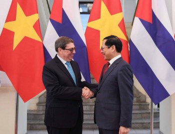 Việt Nam - Cuba nhất trí đẩy mạnh hợp tác trên tất cả các lĩnh vực