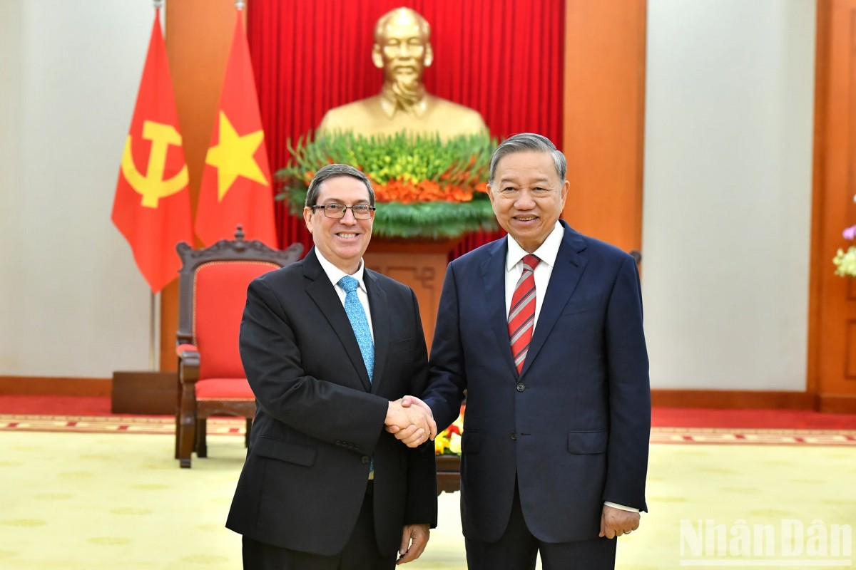 Tổng Bí thư Tô Lâm tiếp Bộ trưởng Ngoại giao Cuba