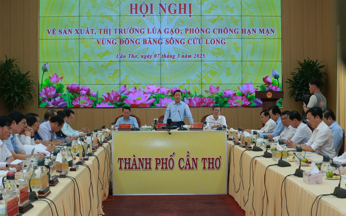Cần điều chỉnh kế hoạch mua dự trữ 555Win tải app, chủ động theo dõi thị trường và tình hình sản xuất để có thời điểm thu mua phù hợp, góp phần hỗ trợ nông dân trong thời điểm hiện nay - Ảnh: VGP