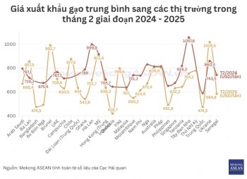 Gạo Việt xuất khẩu sang thị trường nào được giá nhất?