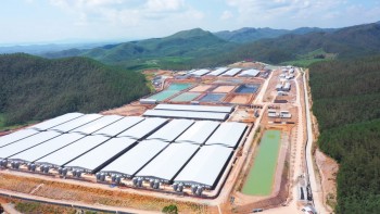 Cổ phiếu tăng gấp đôi sau 6 tháng, BAF có triển vọng thế nào?