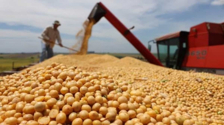 FAO: Nhu cầu cao từ đường, sữa, dầu thực vật thúc đẩy giá lương thực tăng