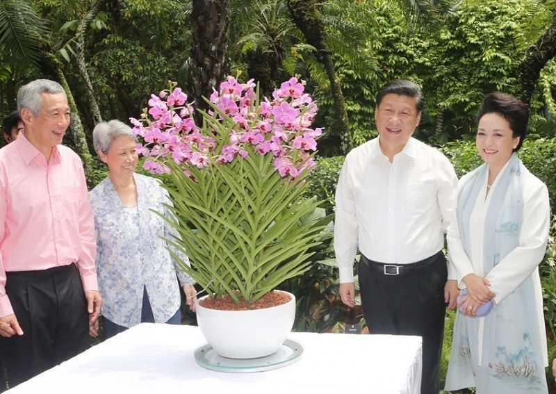 Chủ tịch Trung Quốc Tập Cận Bình và phu nhân Bành Lệ Viện bên chậu lan Papilionanda Xi Jinping-Peng Liyuan. Ảnh: Asia One