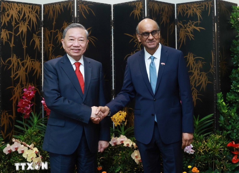 Tổng Bí thư Tô Lâm hội kiến Tổng thống Singapore Tharman Shanmugaratnam. Ảnh: TTXVN.