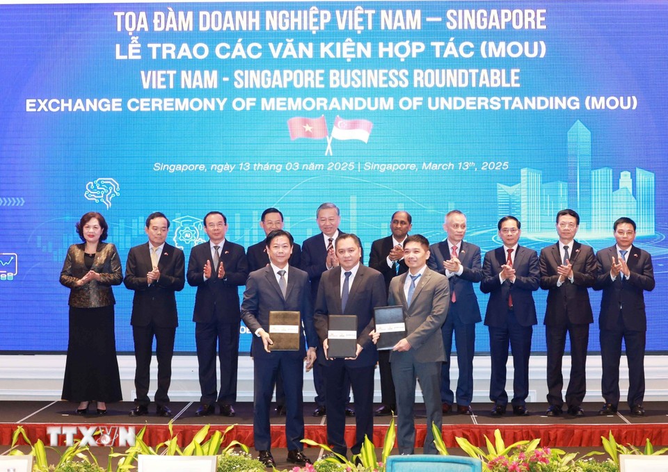 Tổng công ty hàng không Việt Nam, Tổng công ty du lịch Sài Gòn và Tập đoàn Alpha Pacific (Singapore)