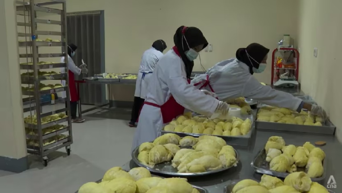 Indonesia sẽ xuất khẩu sầu riêng đông lạnh trực tiếp sang Trung Quốc